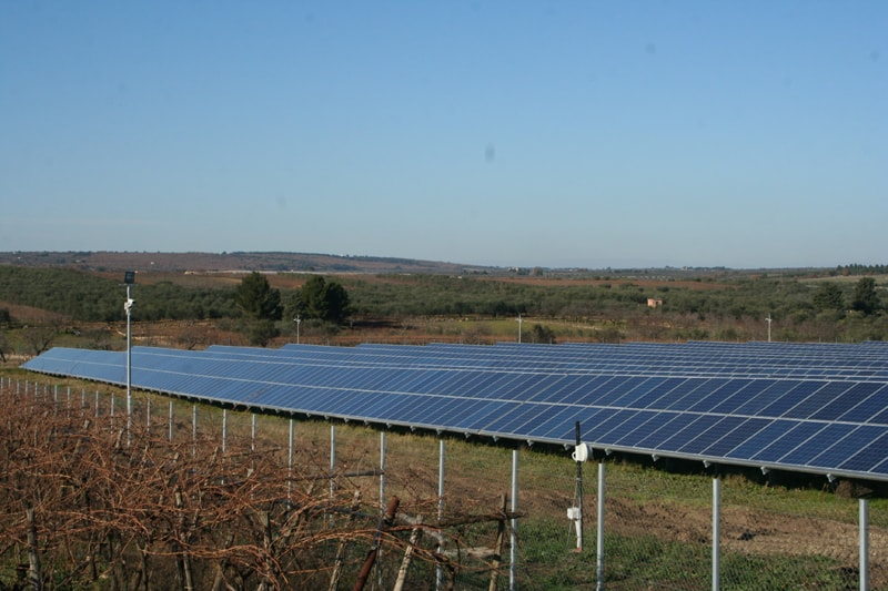 Parco Fotovoltaico Ruvo di Puglia (Ba)